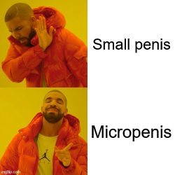 Small Penis vs Micropenis