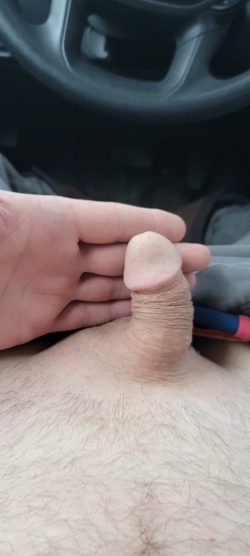 Comment on my little cock!