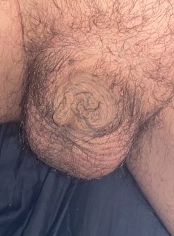 My small French cock