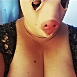 sissypig