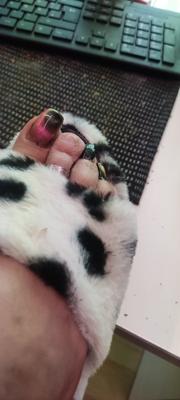 my polished toenails
