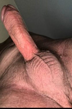 Rate my dick please