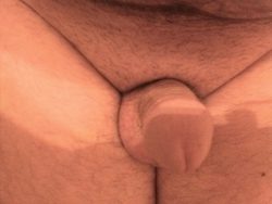 My little dick
