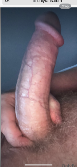Average cock