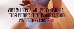 Key holder sent my chastity panty pics to her friends