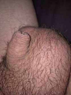 Clitty
