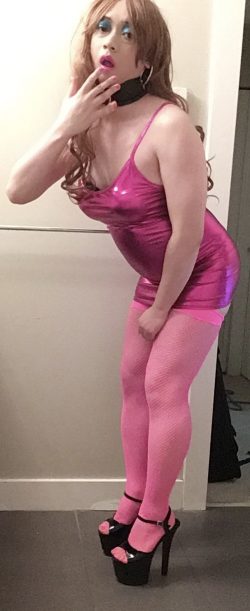 DaisyToy