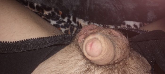 Tony Pompas USELESS LIMP CLITTY! IT BELONGS CAGED 24-7 AND IN PANTIES!