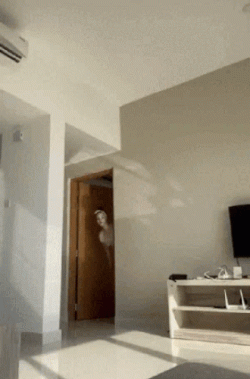 White goddess jumps on for facesitting