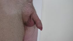uncut dick