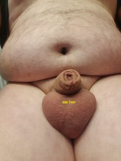FETTSACK MIT MINI pimmel