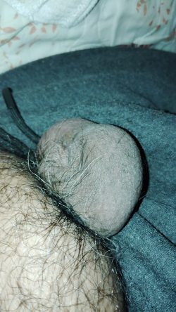 Just Dirk Jackson’s tiny micropenis. Sph me!