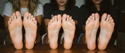 Beg to sniff our feet like a loser