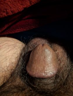 Up close still tiny cock