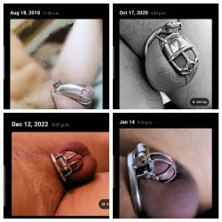 Progress in Chastity
