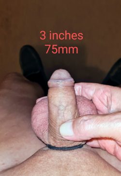 Stiff dicklette