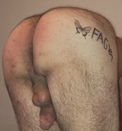 Fag booty with dick