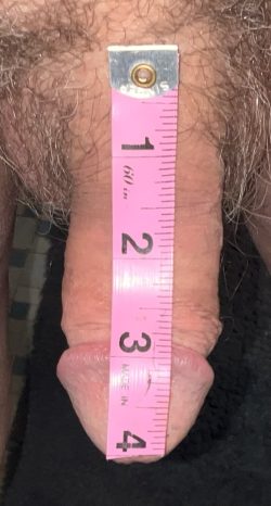 I am totally erect, please rate my white penis.