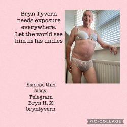Sissy Bryn