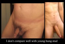 Young Hung Stud