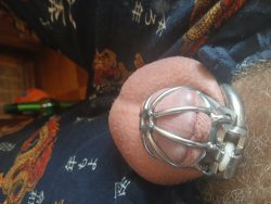 comfortably lying in it’s spiked thigh cage probably for a next month) sure it’s gon ...