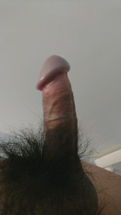 Pubic hair is bushy