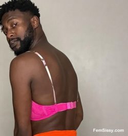 Black Sissy Loves Pink Bras