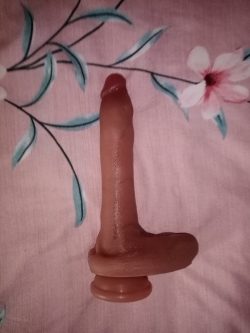 New Toy