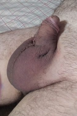 Manscaped