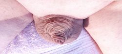 my tiny, useless, hairless cock