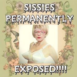 Tvcarole sissy faggot 💕