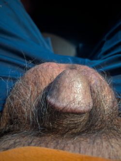 Tiny Dicklett