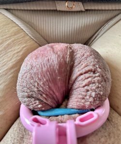 Back in the pink jail