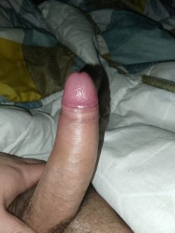 Le cock