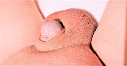 tiny cock head out of his foreskin
