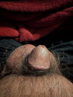 Morning hardon
