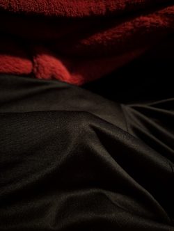 My hard penis exposed