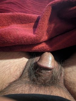 My erection