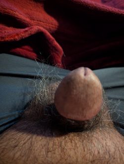 Hard dicklett