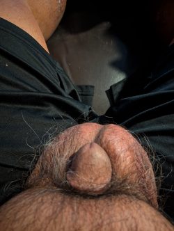 On Display