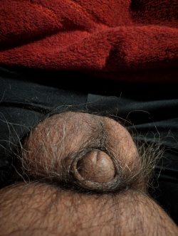 Three little pic’s