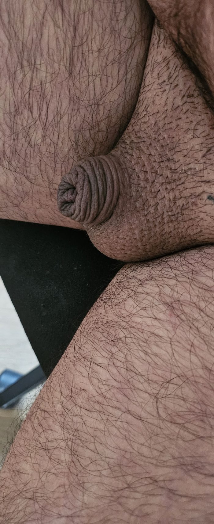 Sissylassy Micropénis Humiliation