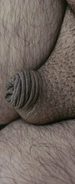 Sissylassy Micropénis Humiliation