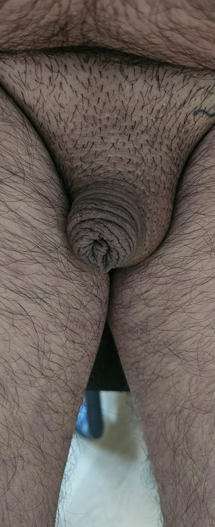 Sissylassy Micropénis Humiliation