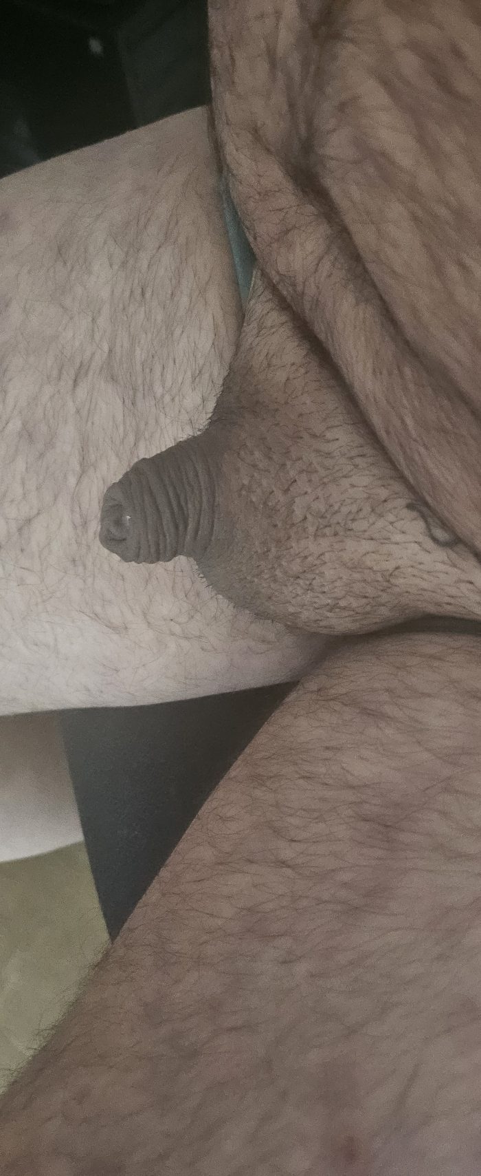 Sissylassy Micropénis Humiliation