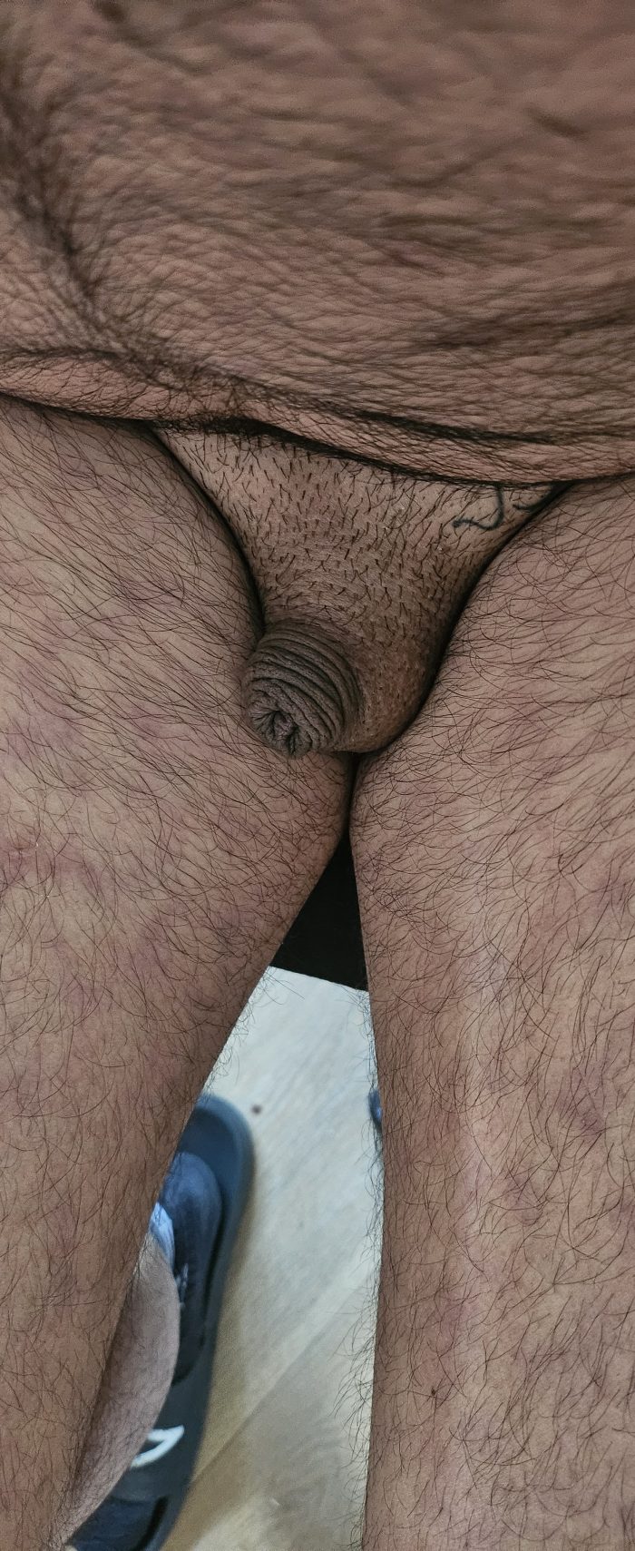 Sissylassy Micropénis Humiliation
