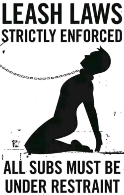 You all submissives sissys slaves faggots wholes femboys
