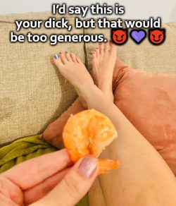 Shrimp Dick is Being Way Too Generous