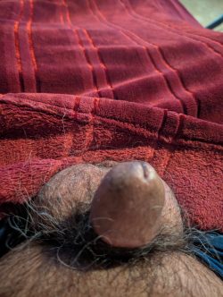 Hard cock 1 inch