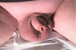 I love showing off my hairless beta tiny cock. 🤏